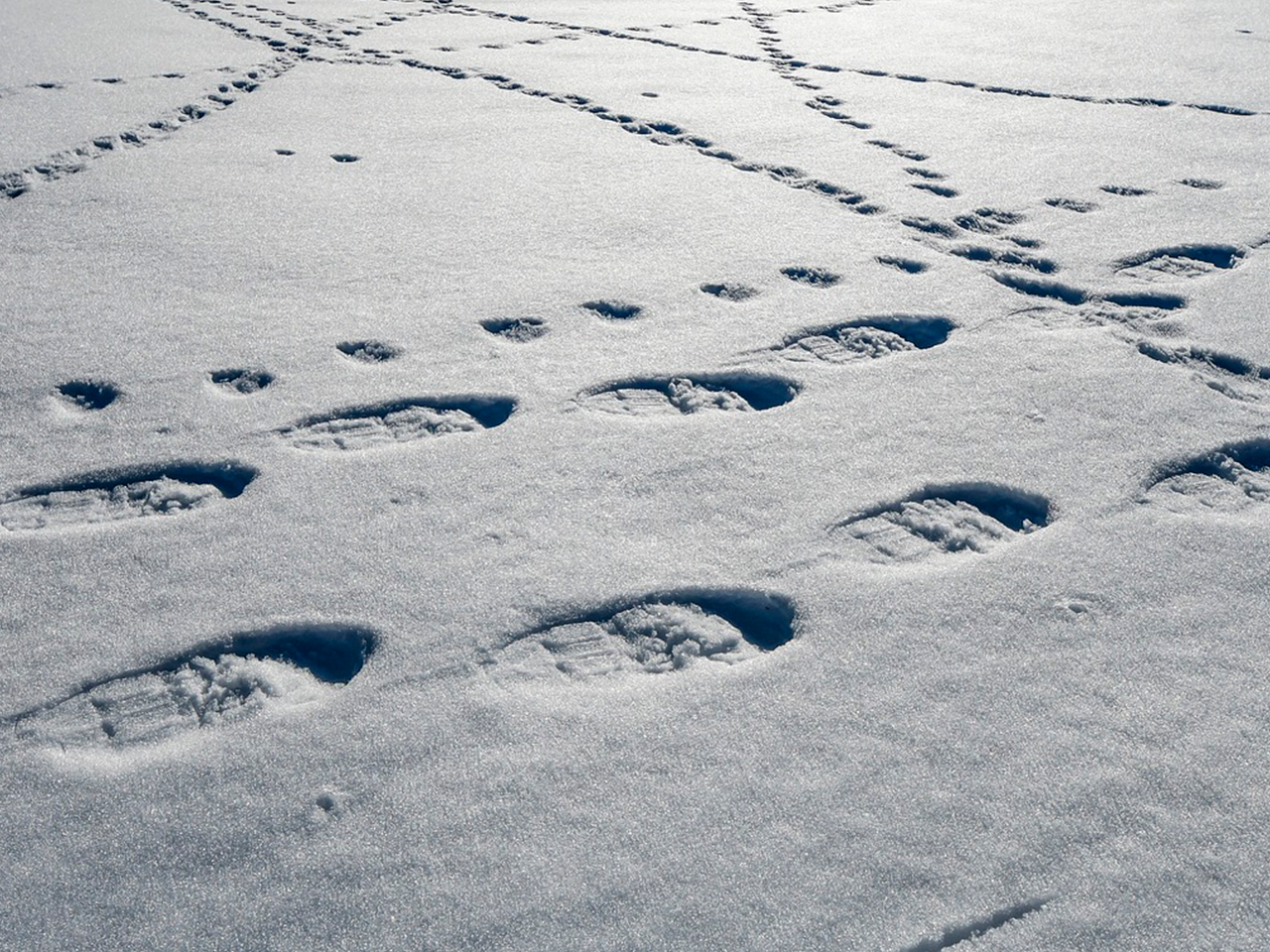 3 jours de randonnée raquettes au coeur du Beaufortain